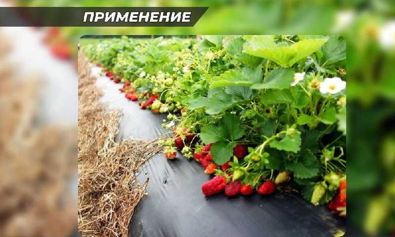 Мульчирующая пленка (Naksan)