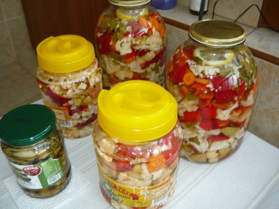 Panasonic Lumix DMC-LS80