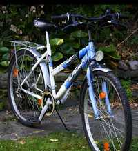 Bicicleta : Avenue  sprint bike