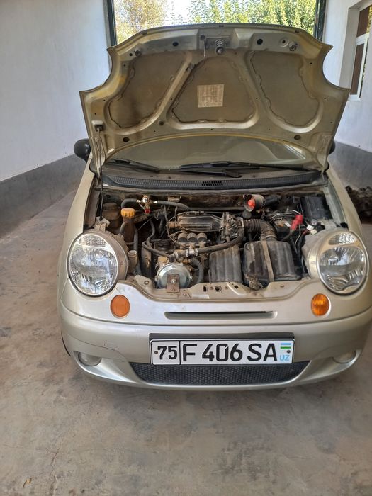 Matiz polluks h9