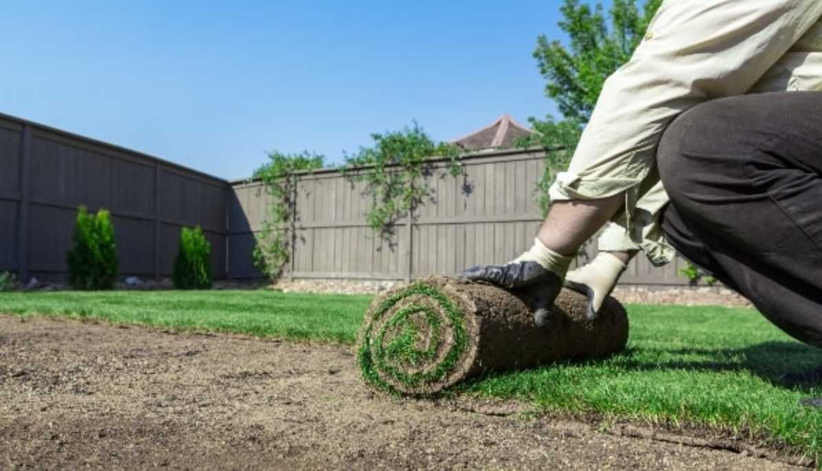 Montaj Gazon Rulou și Însămânțare cu Echipă Specializată