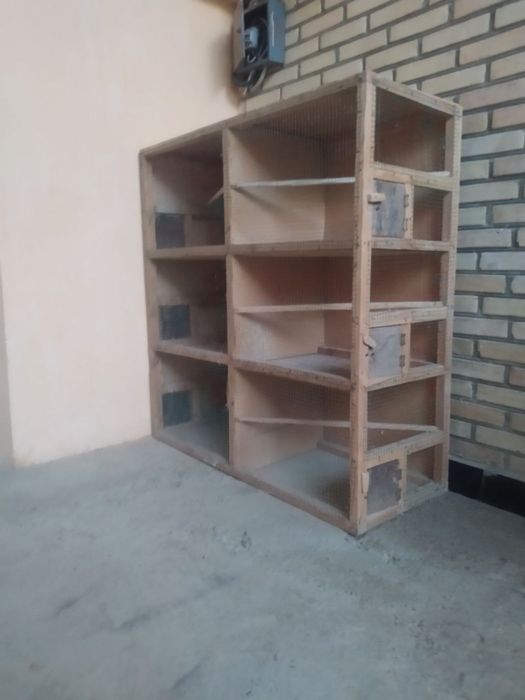 Qushlar uchun qafas