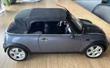 poza Mini R52 gradina