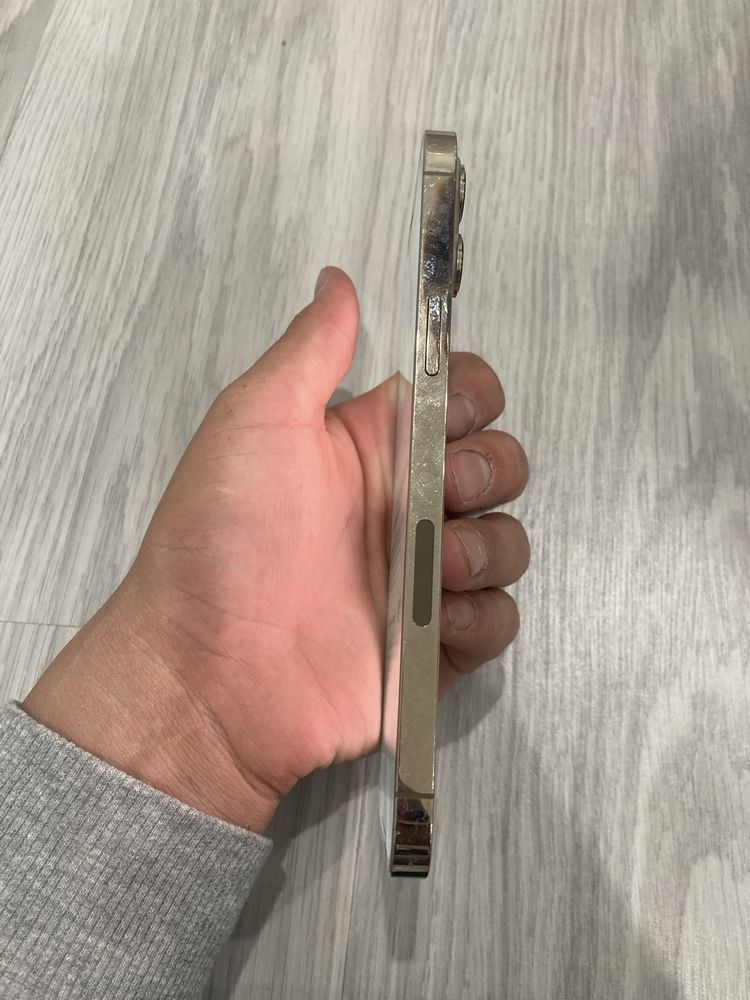 iPhone 12pro max