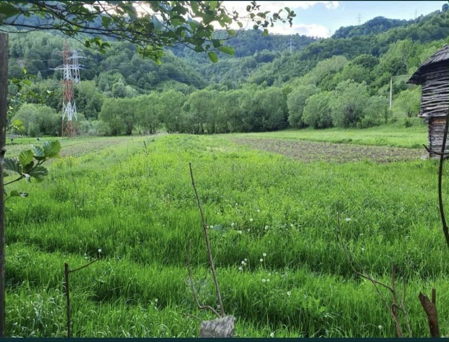 Teren intravilan Malaia