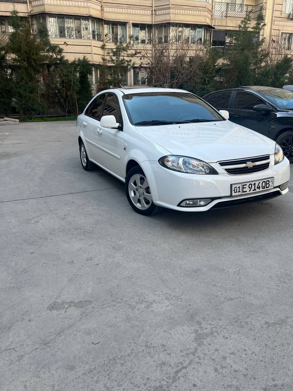 Gentra 3 poz. elgant plus