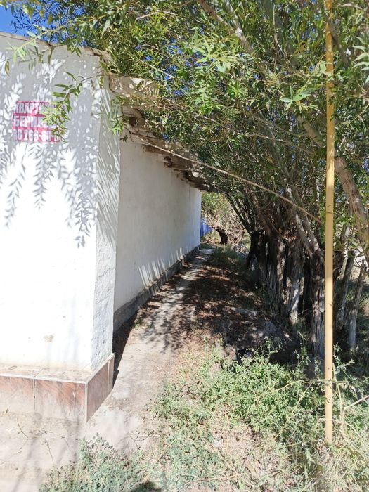 Кегейли районыда жай сатылады