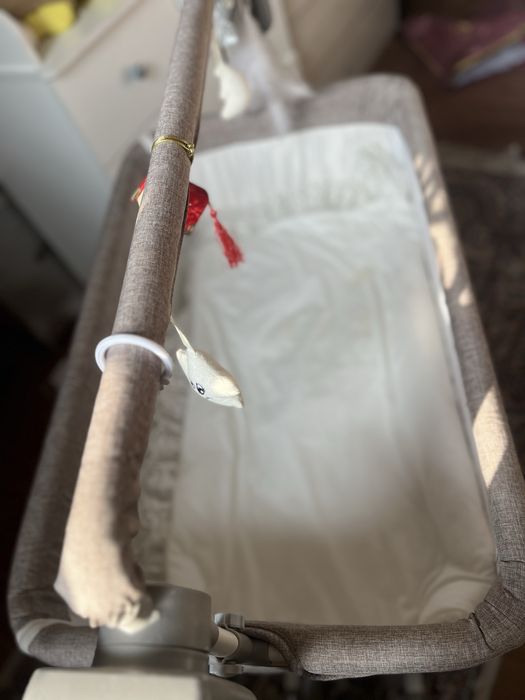 Детсикая монеж       Ь