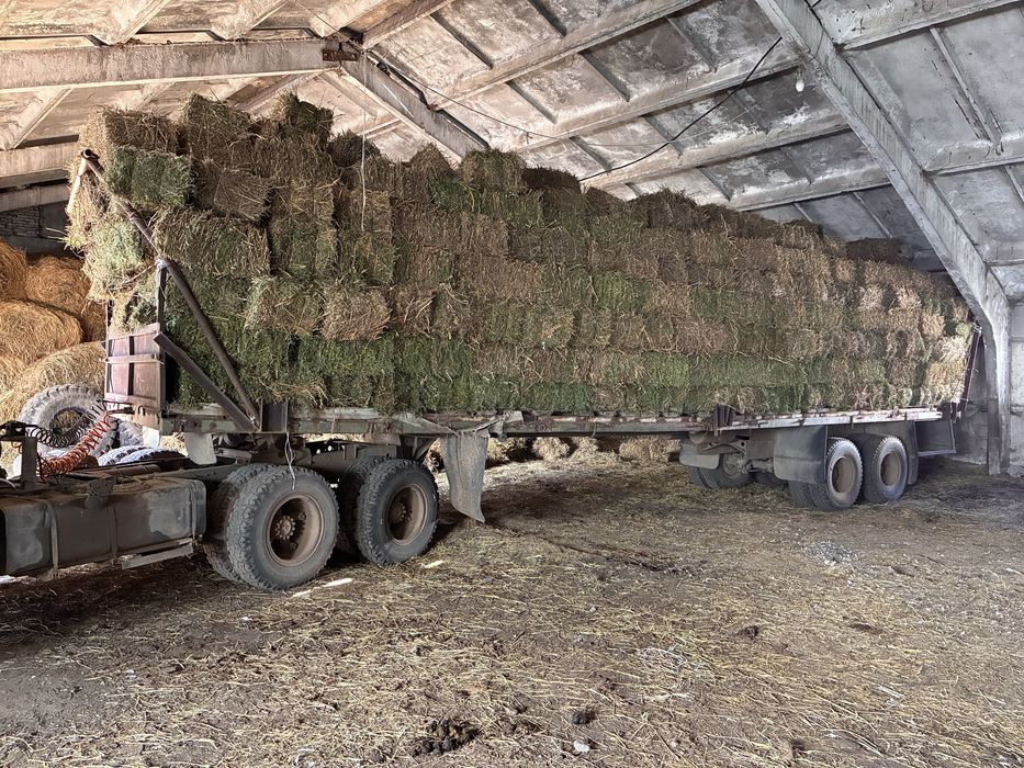 Люцерна ( жонышка ) в тюках