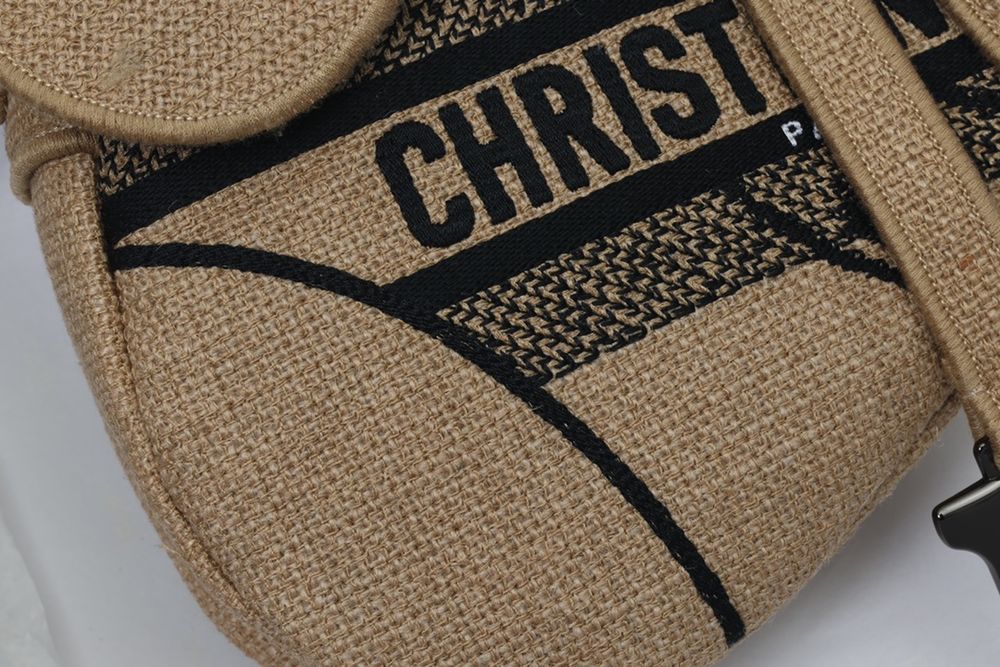 Geanta Christian Dior Saddle, tip Premium