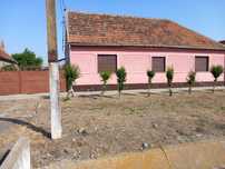 De vânzare casă cu teren 2877mp – sat Breștea (com. Denta),Timiș