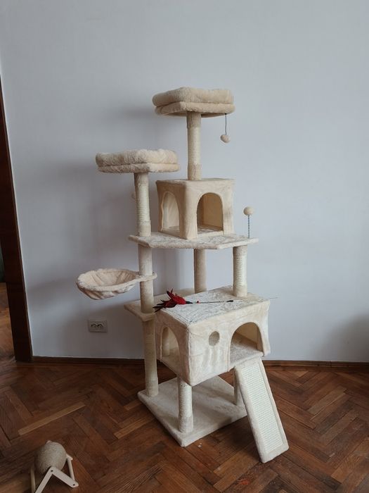 Ansamblu de joaca pisici