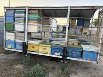 Rastel apicol / Modul apicol