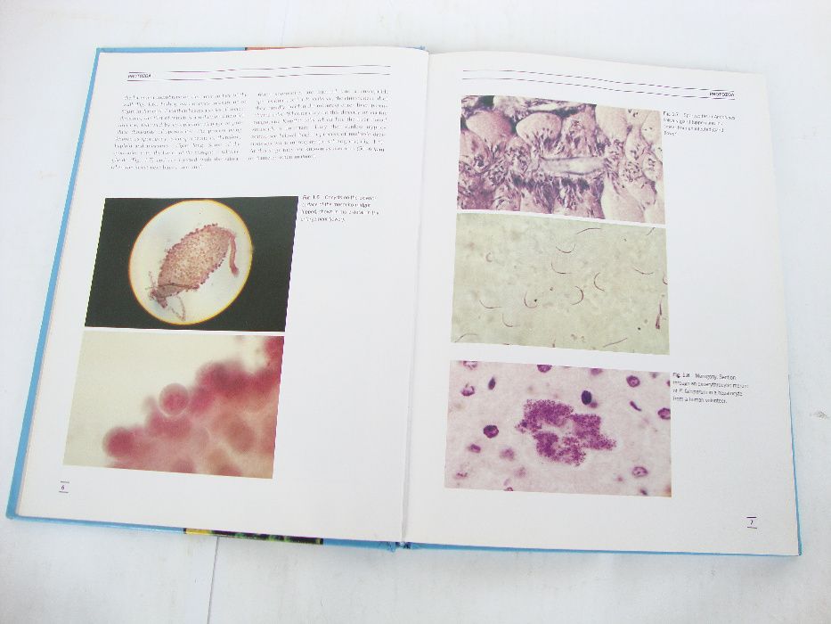 Carte de medicina: Medical Parasitology (Muller & Baker)