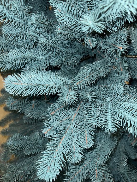 Vând brazi artificiali-silicon premium