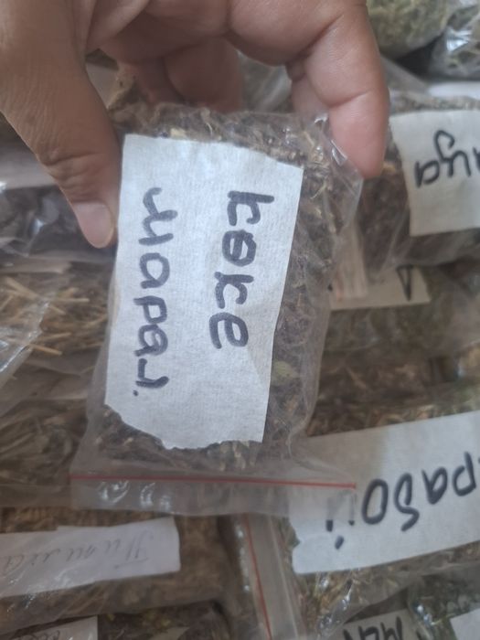 Коке марал. Свежий.