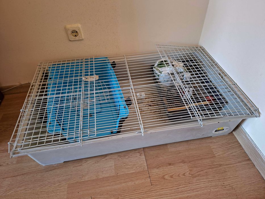 Оборудване и храна за зайче