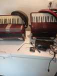acordeon hohner 120 basi