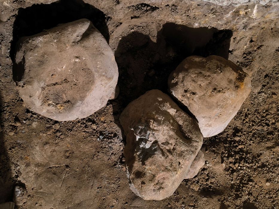 Големи и средни камъни за алпинеум, декорация