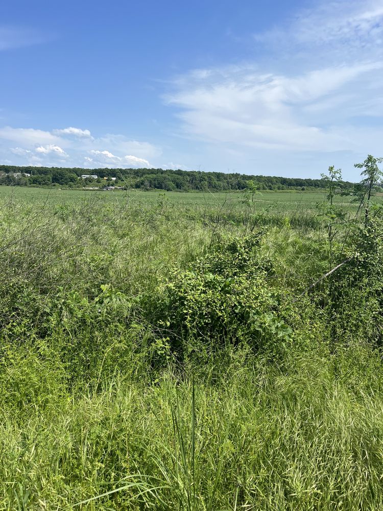 3бр. Парцели в гр. Обзор