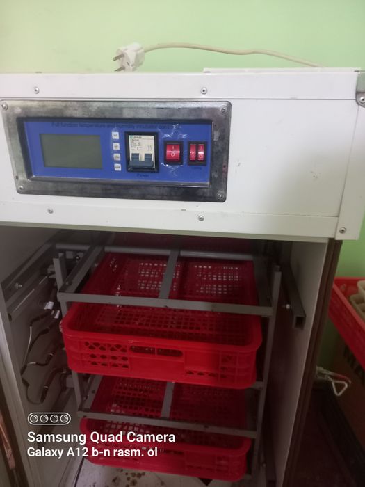 Inkubator 350 talik xolati alo