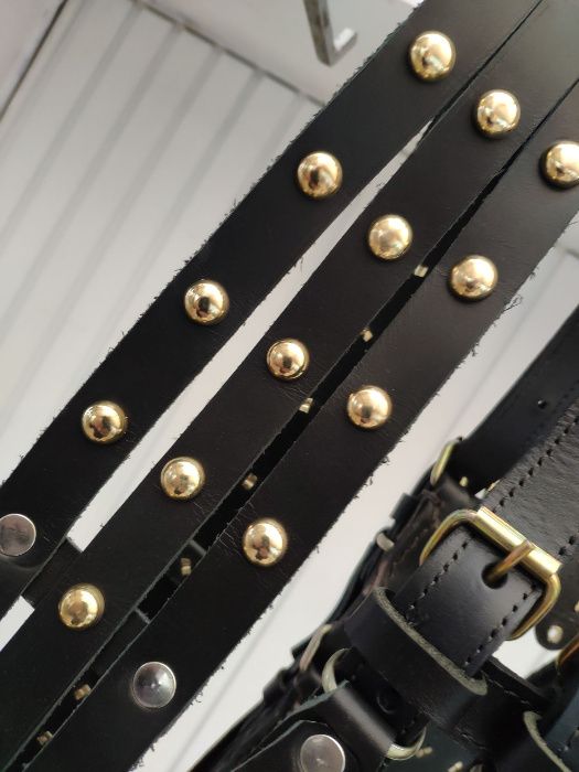 capici-cu-salba CAL/MAGAR/PONEI | set premium ... ⟣GARANTIE ⁴⁸