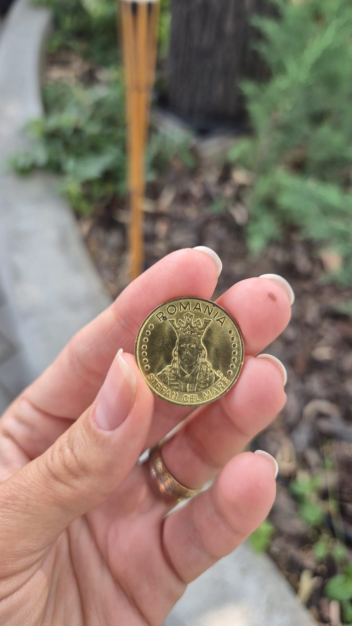 Moneda 20 lei Stefan cel Mare 1991