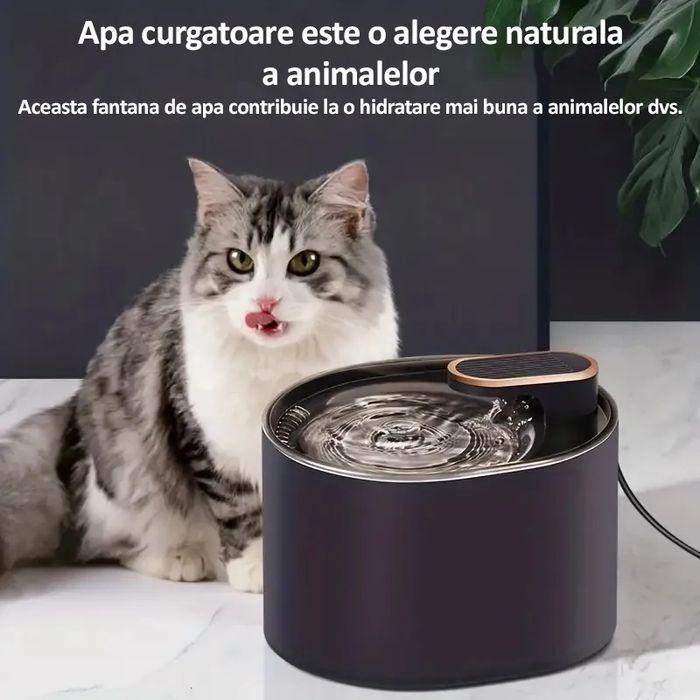 Dispenser apa pentru câini si pisici