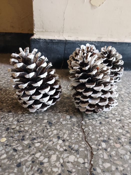 Шишарки за декорация