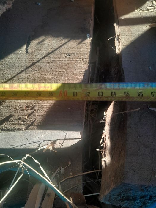 Blat nuc  masiv pentru mese