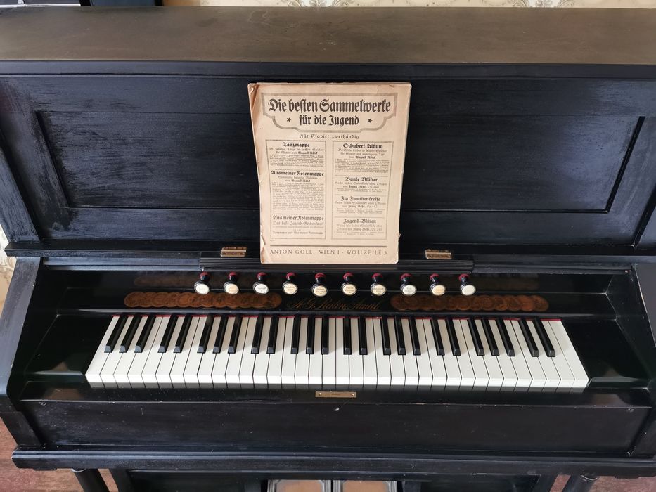 Orga armonium A.G. Rålin, Åmål (Suedia), sec. XIX – funcțională