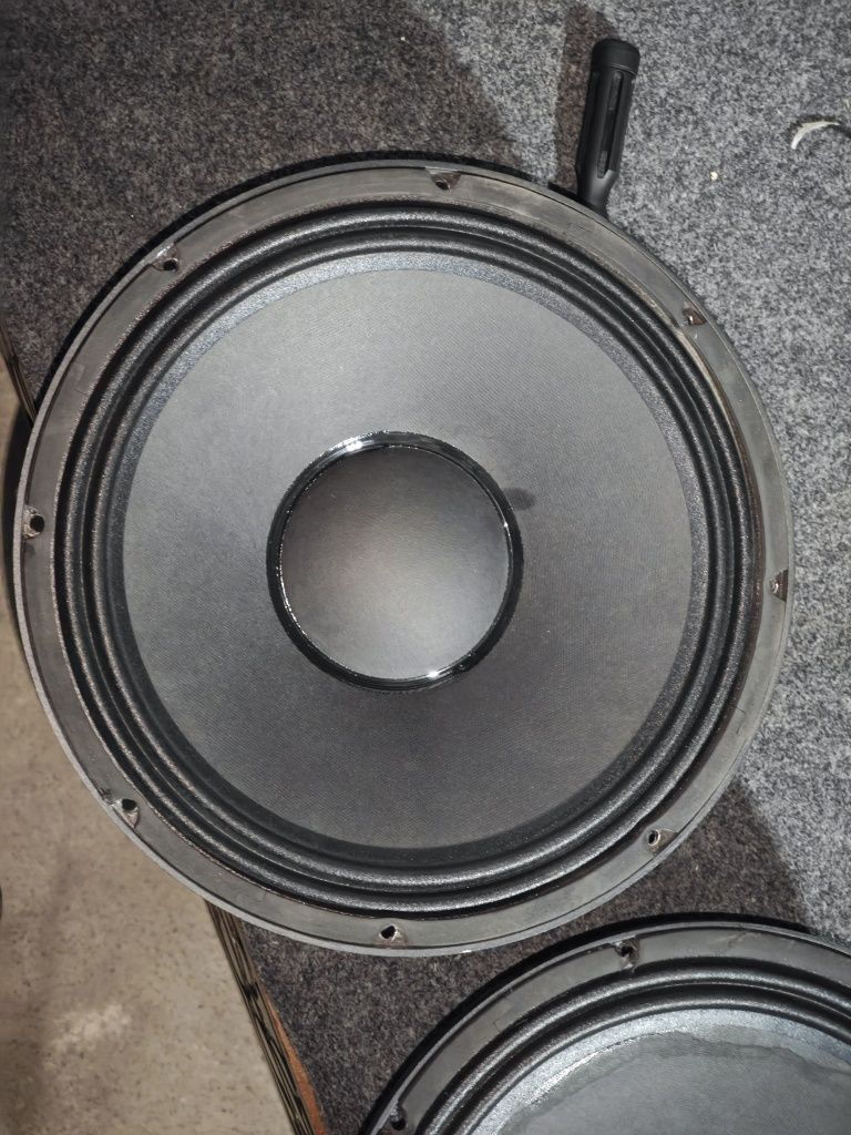 Adel 12 dyum  300w