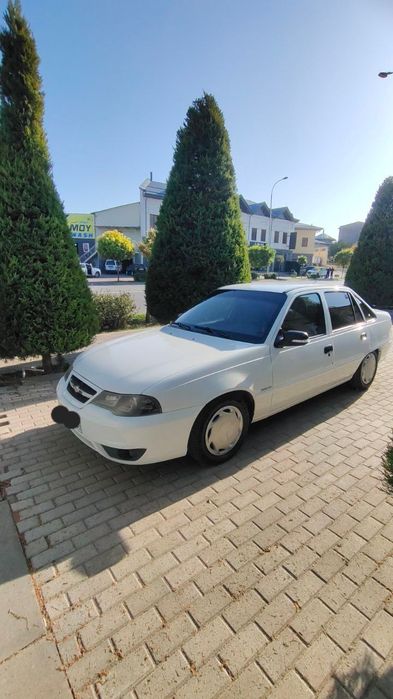 Мошинчи нагз дакорми?