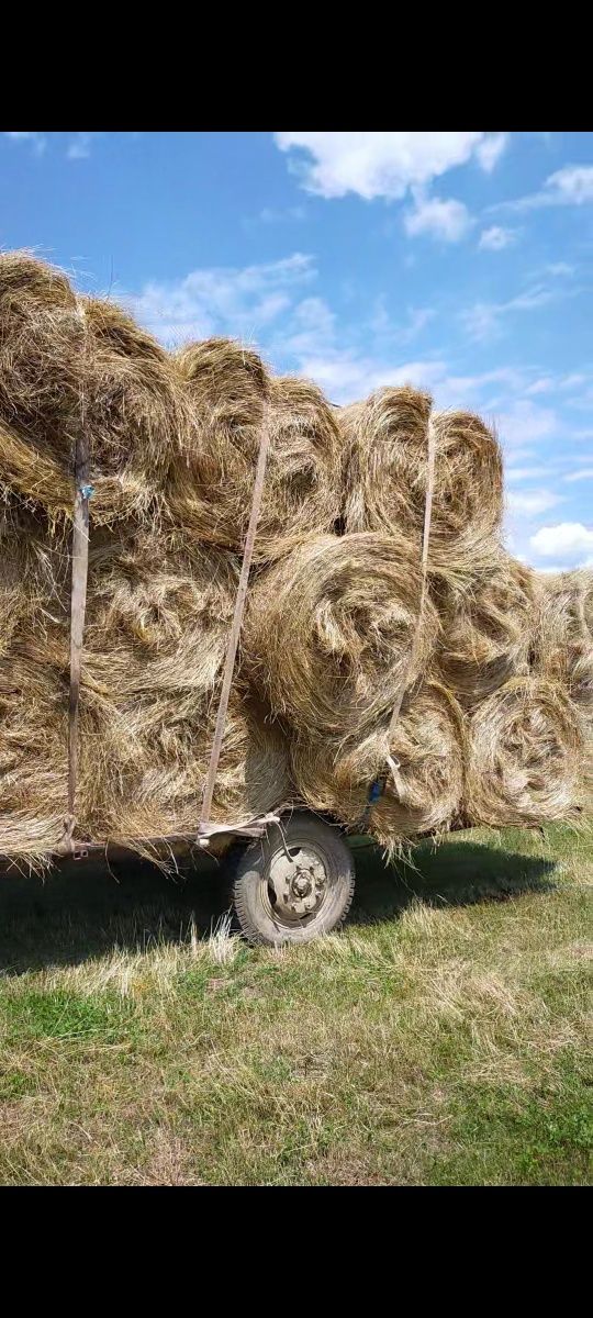 Baloți de fân buni