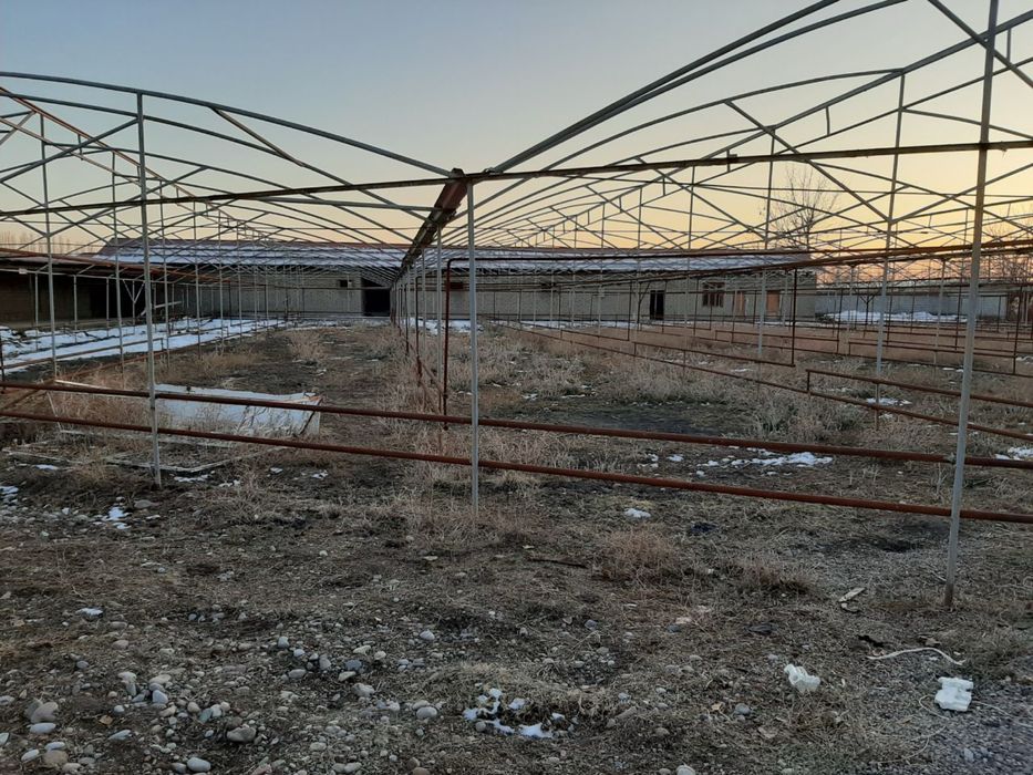 Notutar yer joyi 25 sotix