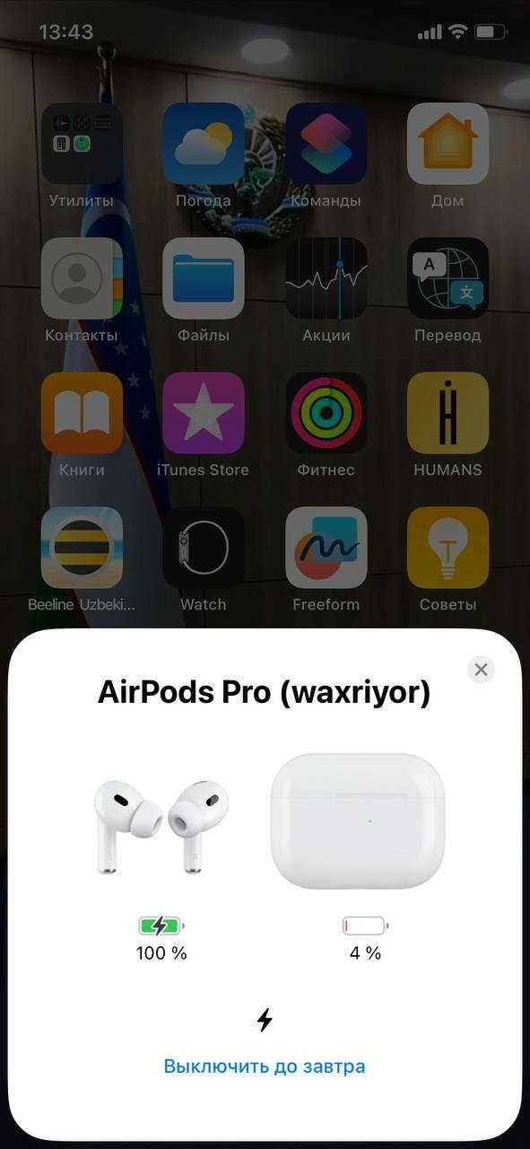 AirPods Pro (оригинал)