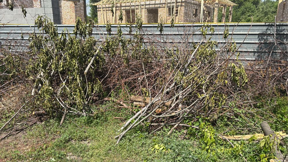 Дрова сухие для печи плодовых деревьев