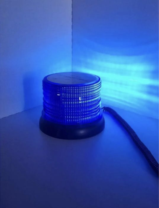 Мигалка томга(Российский)