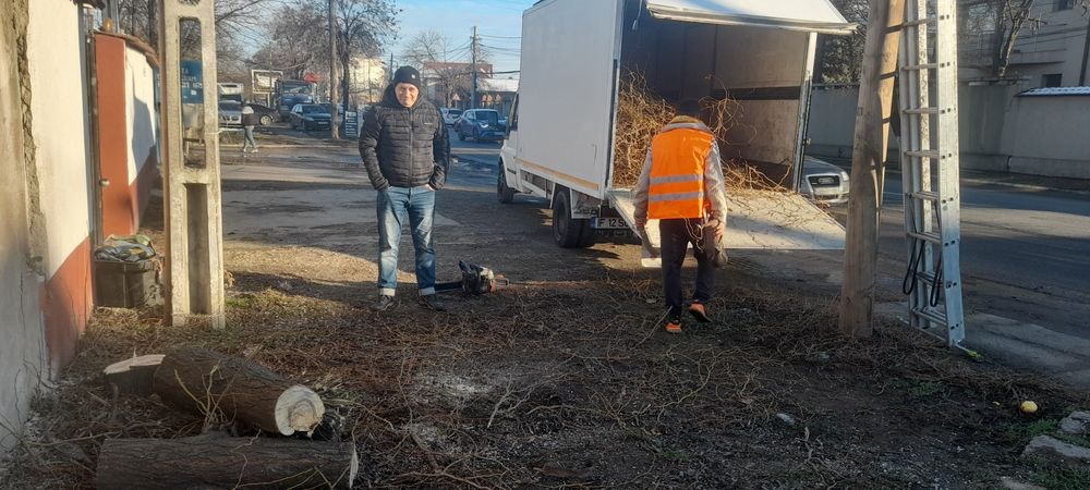 Taiere copaci toaletare frezare cioate