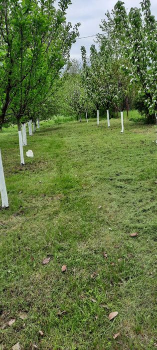 Teren de vânzare Valea Stanii, Comuna Luica