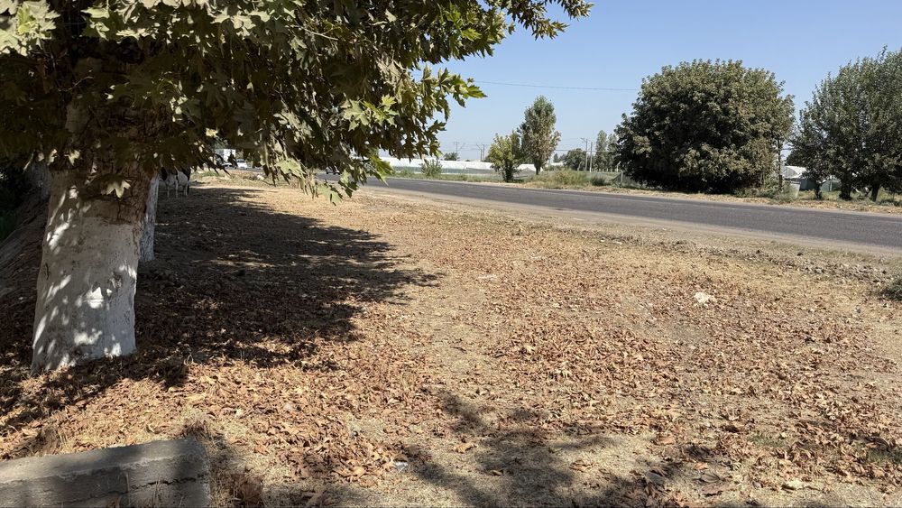 Продается земля 87 соток Янгиюль