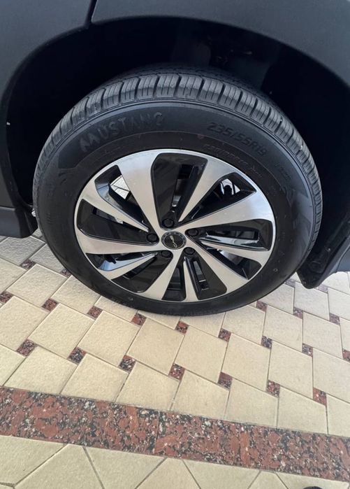 BYD song champion gibrit 2025 yil kiraskasi toza