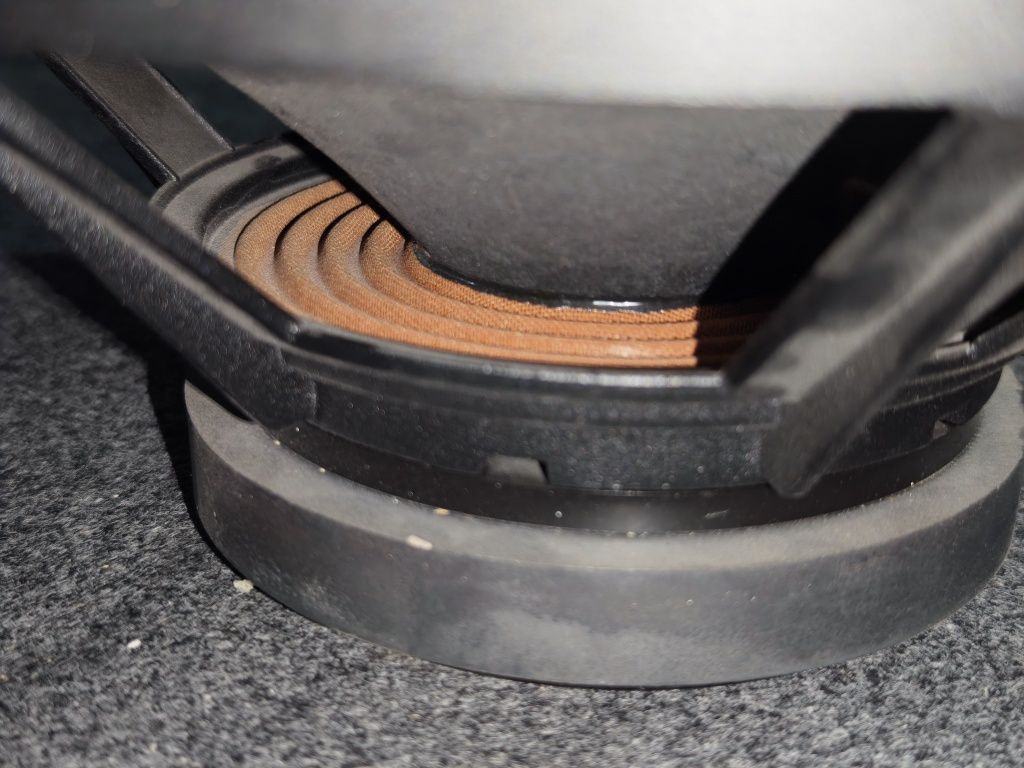 Adel 12 dyum  300w