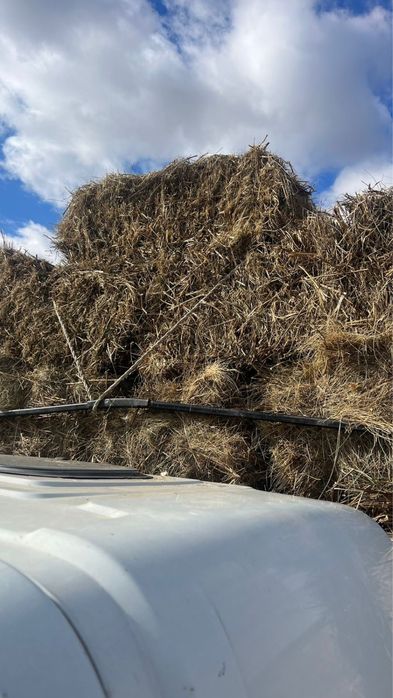 Тюк шөп сатылады .САПАЛЫ,ҚҰРҒАҚ,ТАБИҒИ