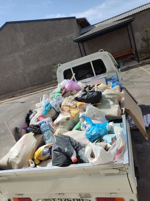 Musr tashish xizmati.Turli xildagi musrlar olob ketamz.