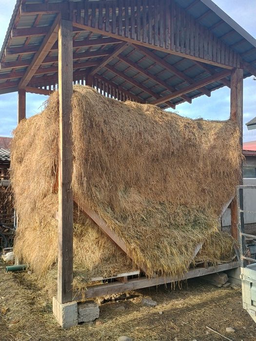 Fan si otava de gradina