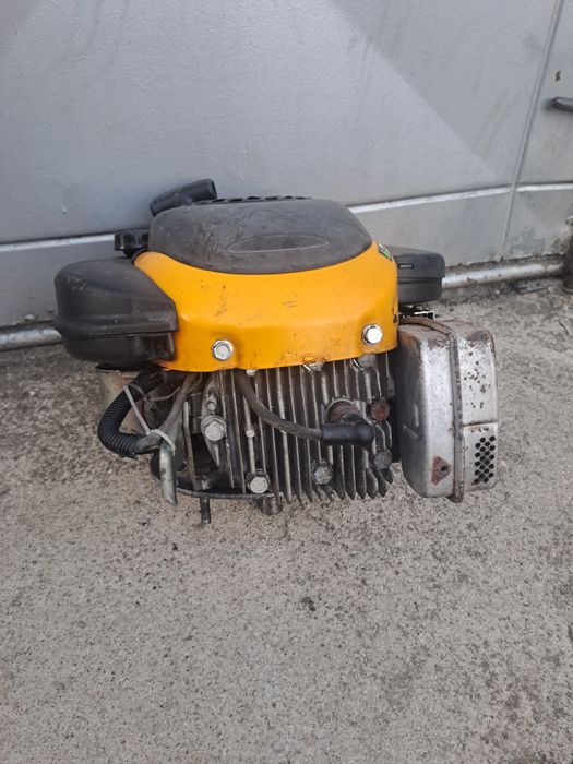 Motor masina de tuns iarba