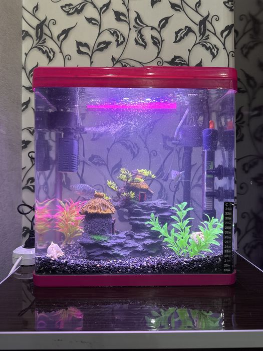 Аквариум для рыб