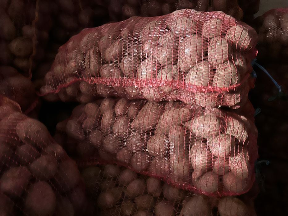 Cartofi rosii  de consum pret negociabil