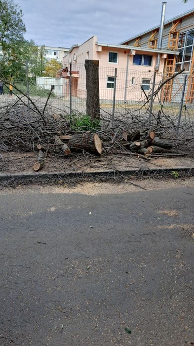 Taiere Copaci Periculoși/Alpinism utilitar